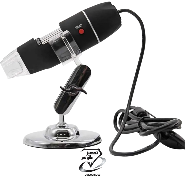 لوپ دیجیتال